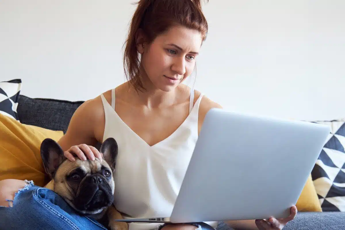 Identification du chien et du chat en France : puce et fichier i-cad Identification du chien et du chat en France : puce électronique et fichier i-cad