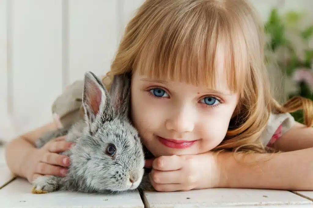 Quel petit rongeur choisir comme animal de compagnie Lapins, hamsters, cochons d’Inde, souris, rats, chinchilla, gerbille, furet, hérisson domestique et même octodon (ou degus) (2)