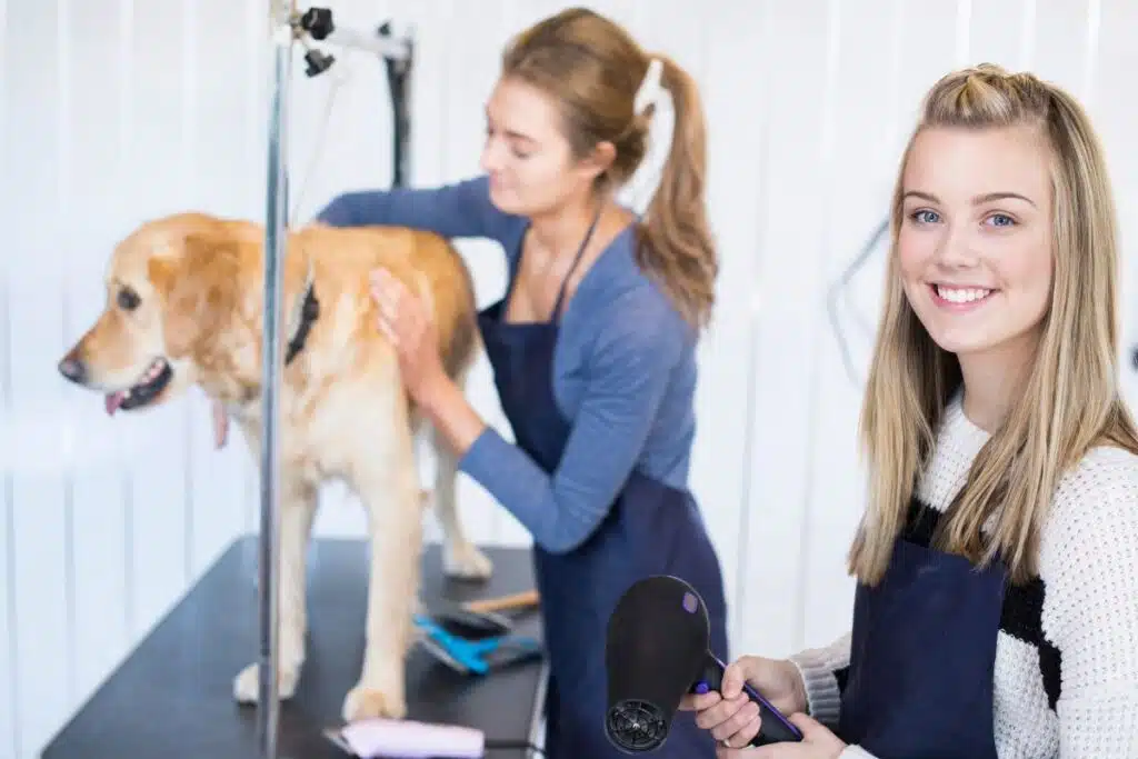 Le métier de toiletteur tout savoir sur cette passion au service du bien-être animal (1)