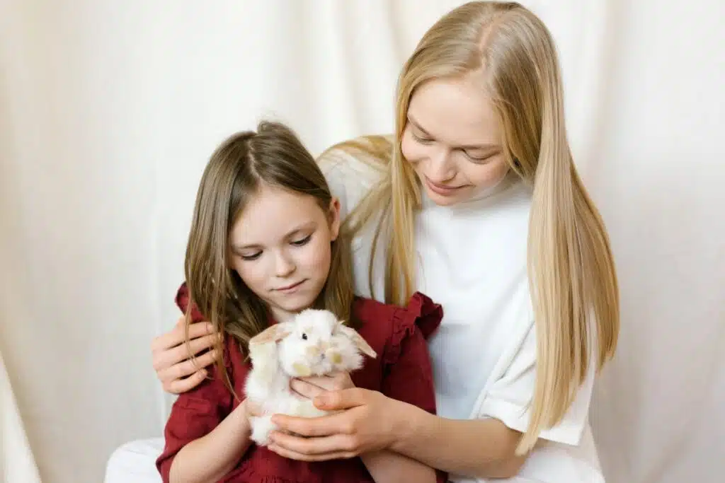 Quel petit rongeur choisir comme animal de compagnie Lapins, hamsters, cochons d’Inde, souris, rats, chinchilla, gerbille, furet, hérisson domestique et même octodon (ou degus) (2)