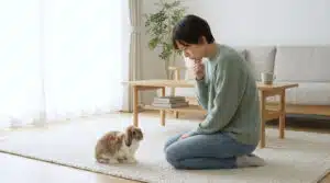 Allergie au lapin : comprendre les symptômes et les gérer