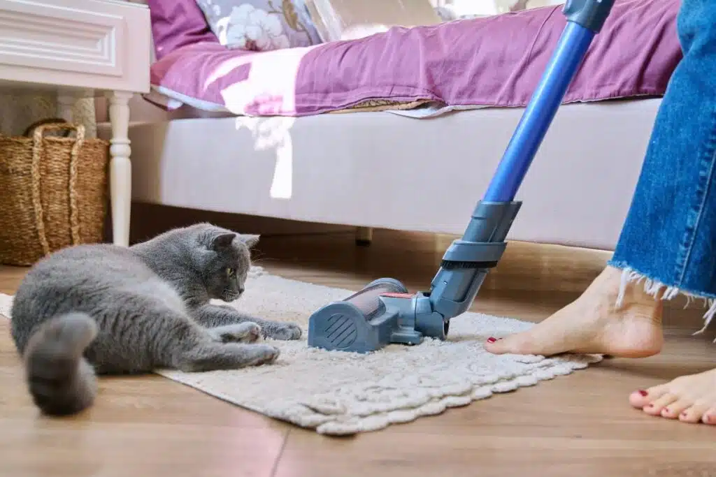 garder une maison propre avec un chien ou un chat