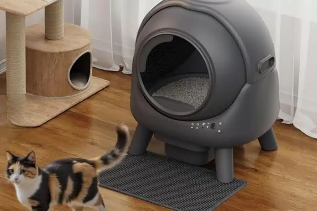 litière autonettoyante, litière automatique pour chat