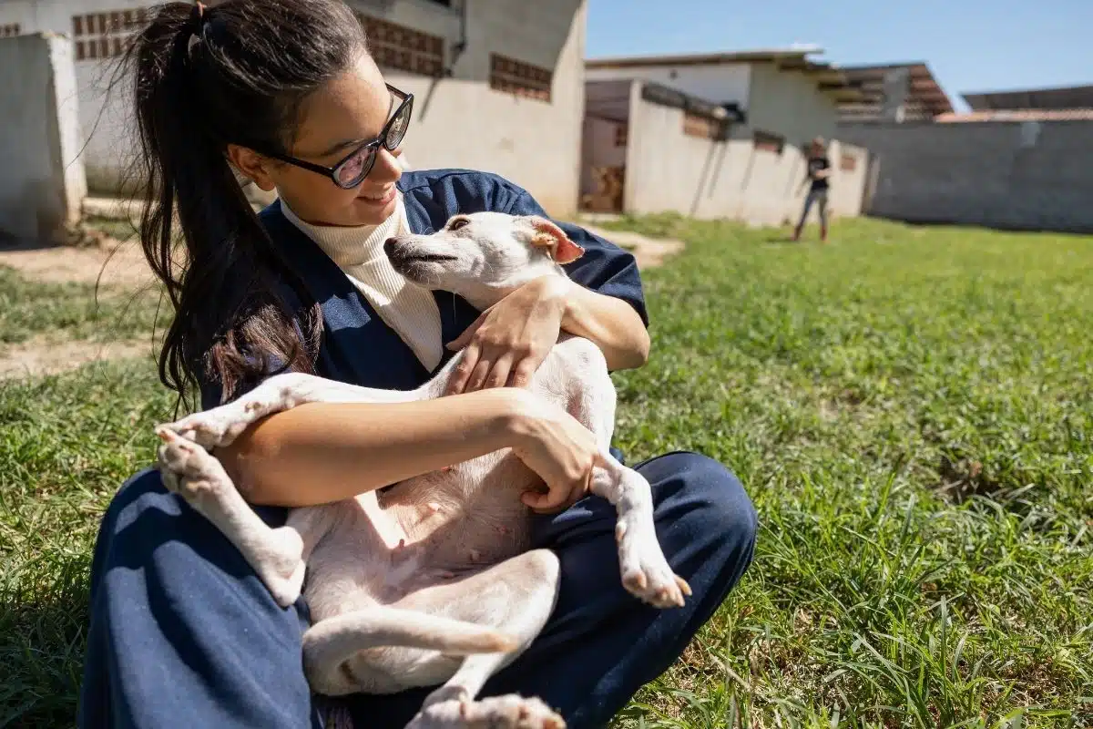 Aides pour faire castrer son chien Bénévole assise dans la cour d'un refuge câlinant un chien blanc dans ses bras