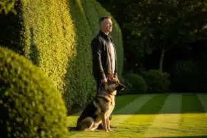 Berger allemand assis au jardin aux côtés de son propriétaire, vaccination contre la rage du chien