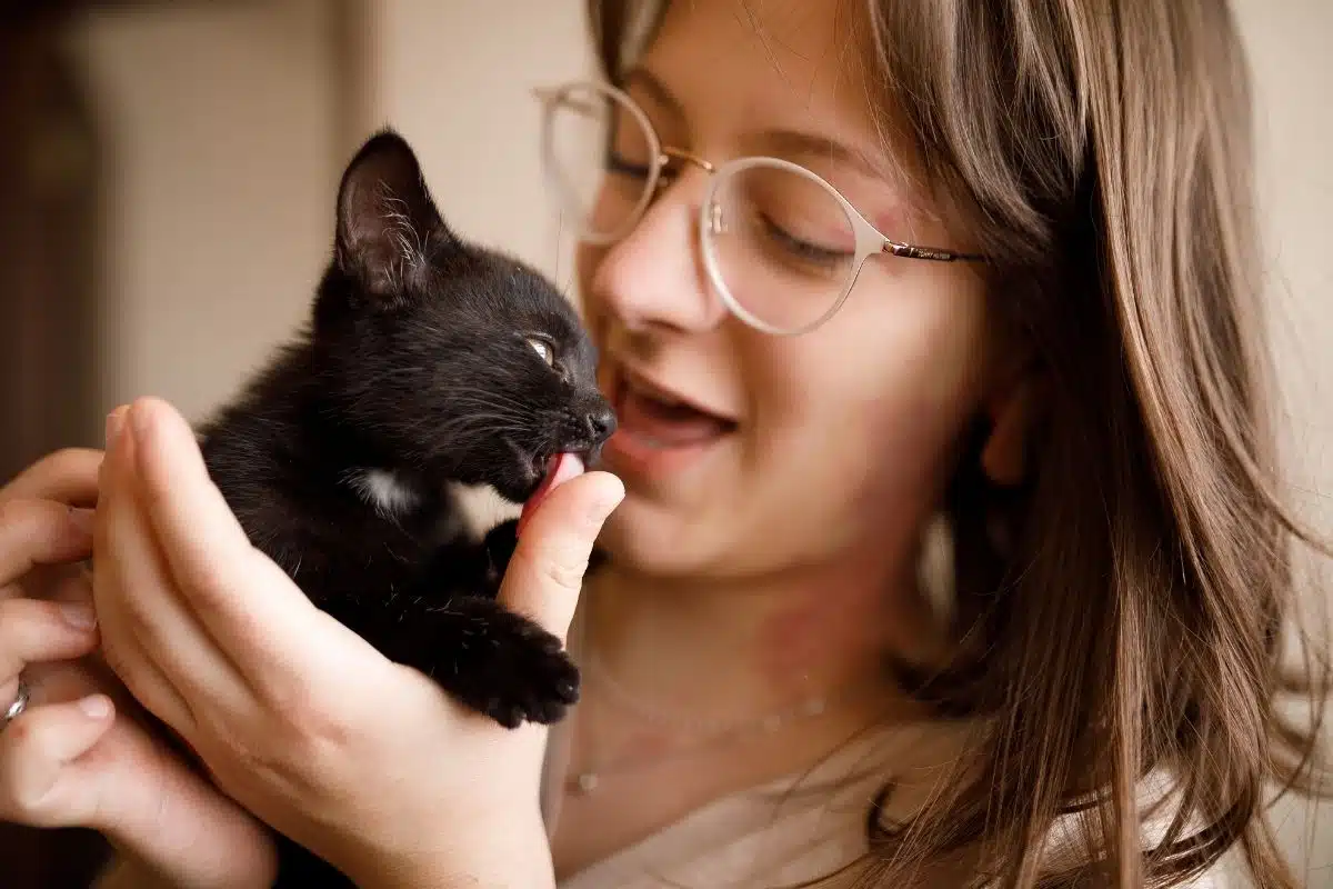 Chat léchant la main de son propriétaire, marque d'affection féline
