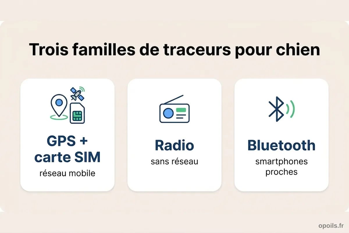 Trois familles de traceurs GPS pour chien Infographie comparant trois familles de traceurs pour chien : GPS avec carte SIM, radio et Bluetooth